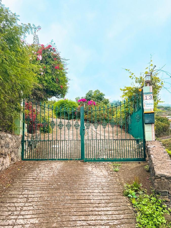 Apartment With Huge Deck Nestled In Marvelous Gardens - Nidos ลาโอโรตาวา ภายนอก รูปภาพ