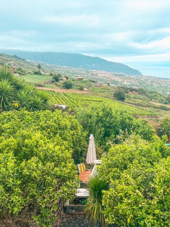 Apartment With Huge Deck Nestled In Marvelous Gardens - Nidos ลาโอโรตาวา ภายนอก รูปภาพ