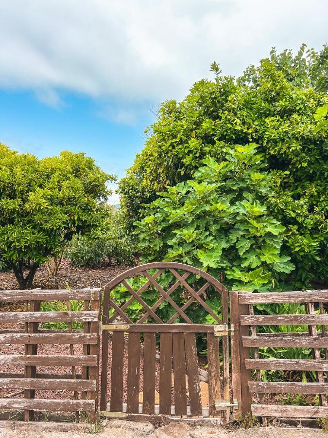 Apartment With Huge Deck Nestled In Marvelous Gardens - Nidos ลาโอโรตาวา ภายนอก รูปภาพ